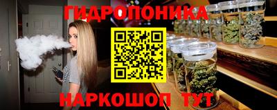 соль ск Новодвинск
