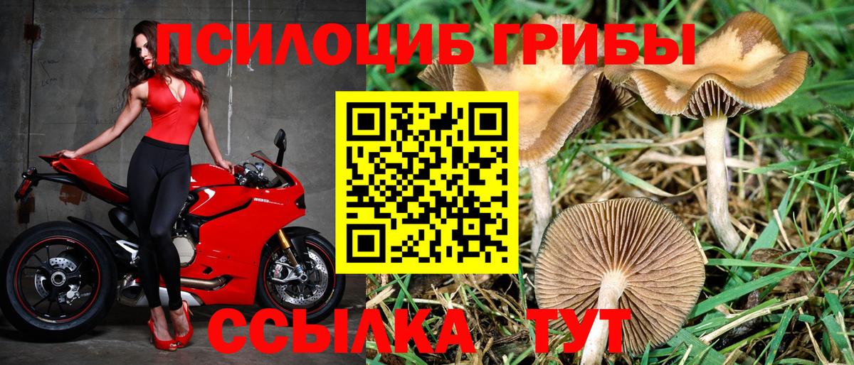 Галлюциногенные грибы прущие грибы Шатура