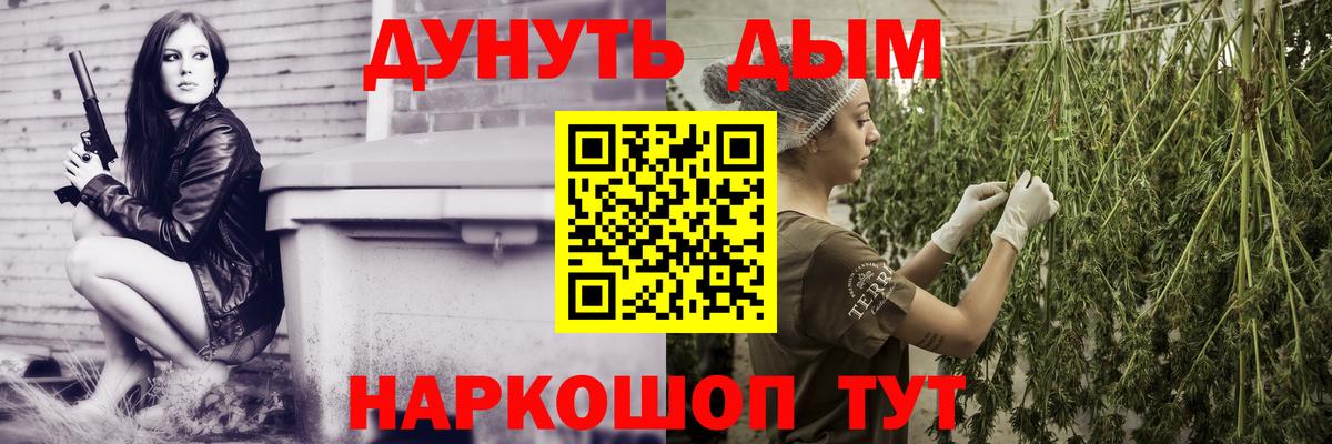 Каннабис OG Kush Шатура